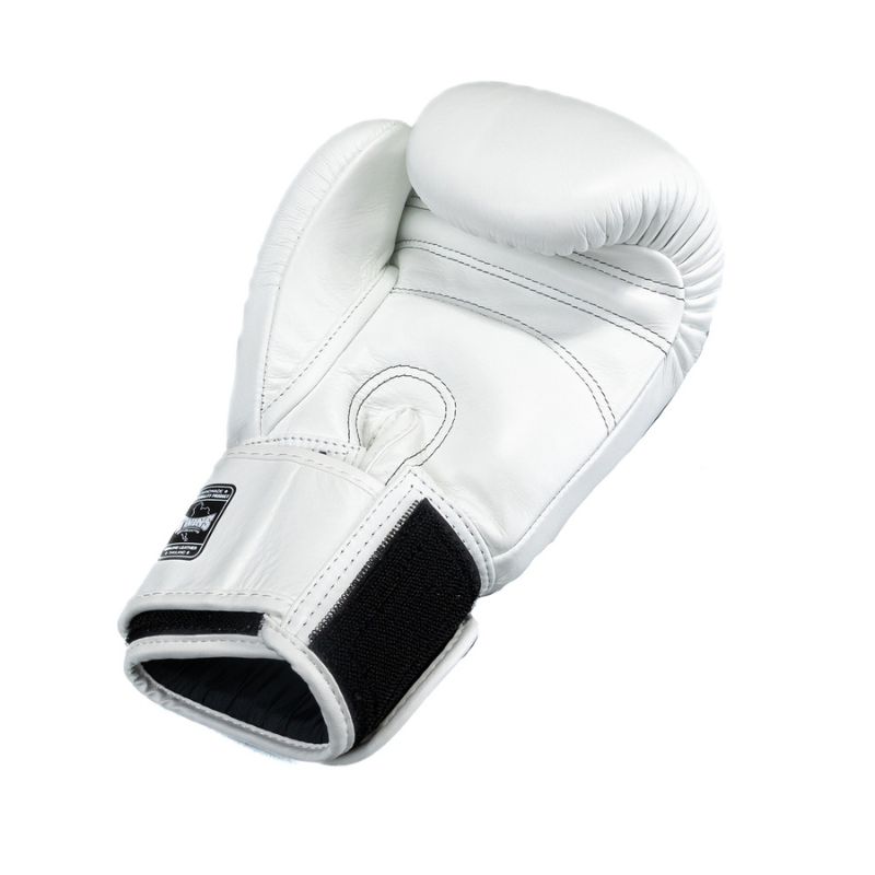 Boxhandschuhe Twins BG-N V2 Weiße